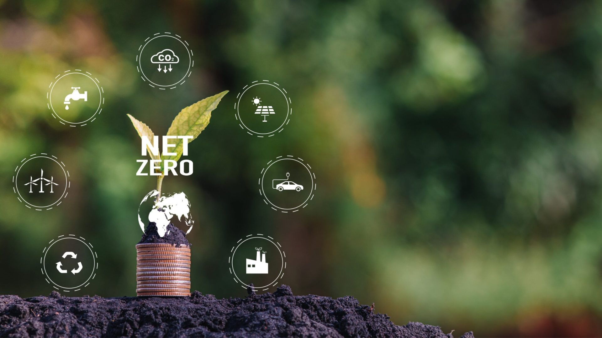 What is Net Zero and what does it mean for your company?